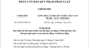 Nghị định 45 An Toàn Lao động