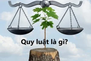 Quy Luật Là Gì (cập Nhật Mới Nhất 2022)