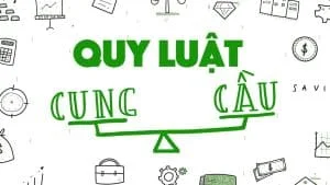 Thực chất quan hệ cung cầu là gì?