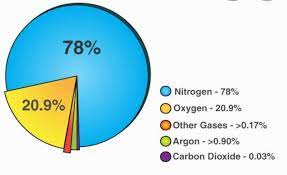 Tìm hiểu về những thành phần của không khí ( Chi tiết năm 2022)
