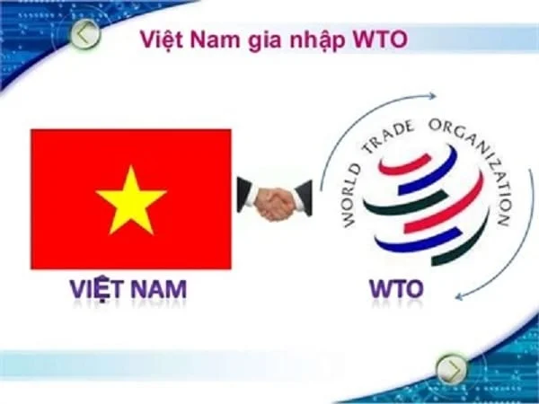 Việt Nam Gia Nhập Wto