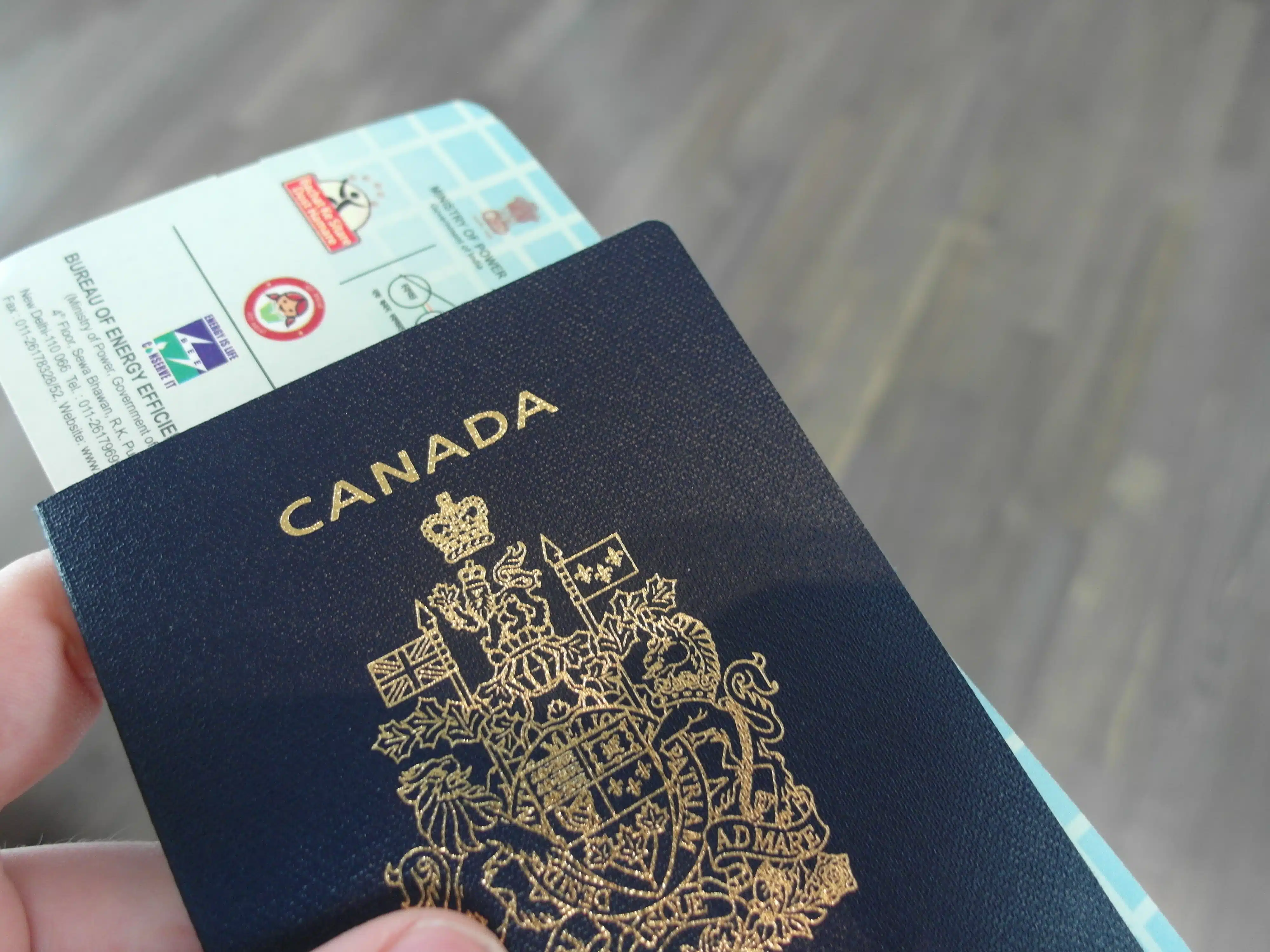 Vietnam Visa For Canada 4