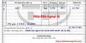 Hướng Dẫn Cách Viết Hóa đơn Gtgt Bằng Tiền Ngoại Tệ