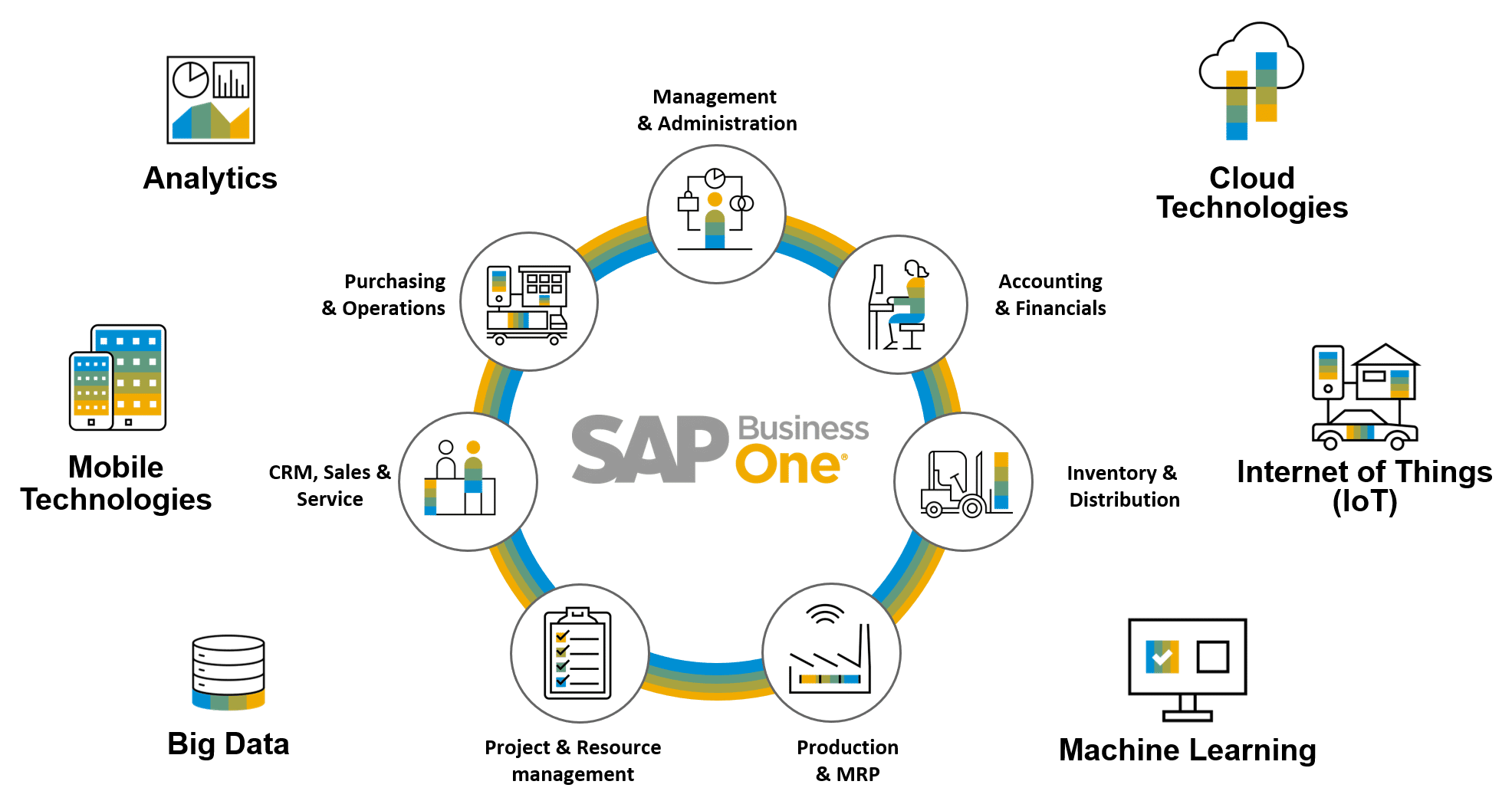 Sap Graphic