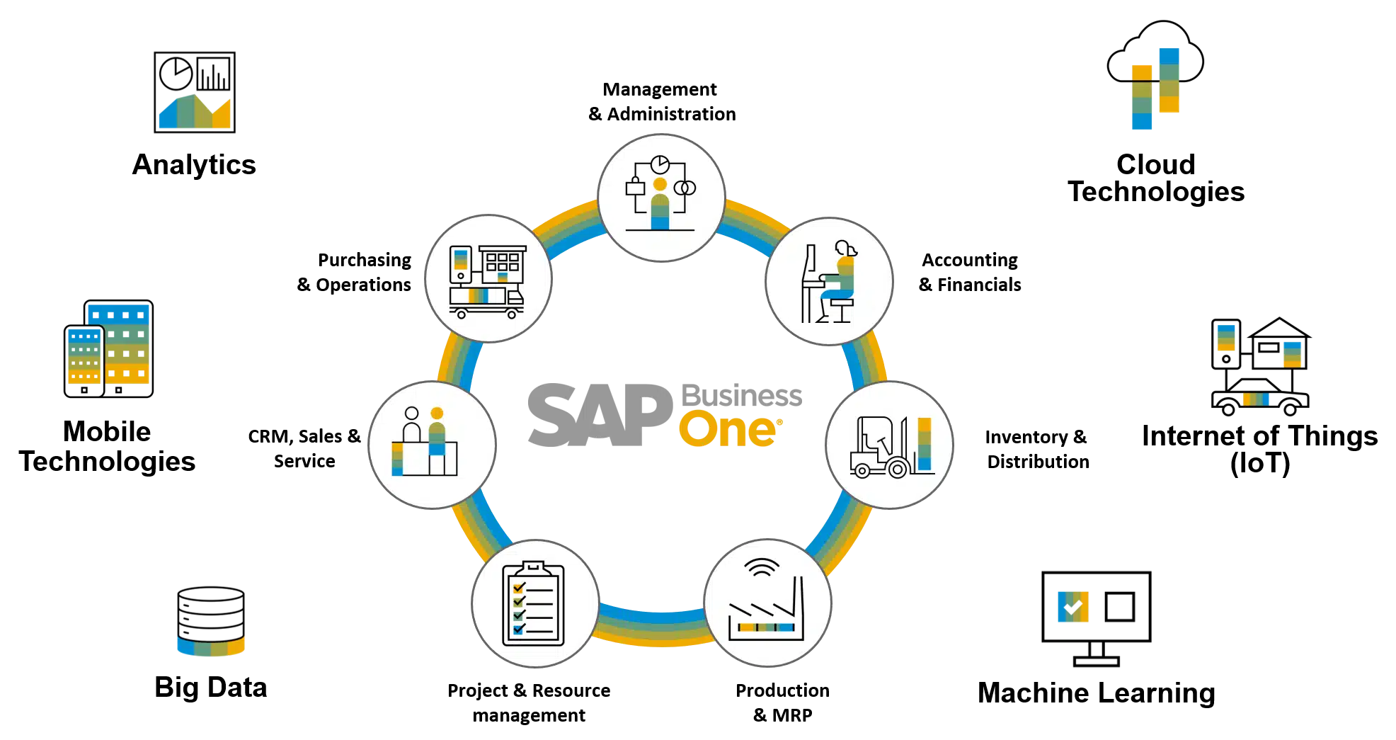 Sap Graphic