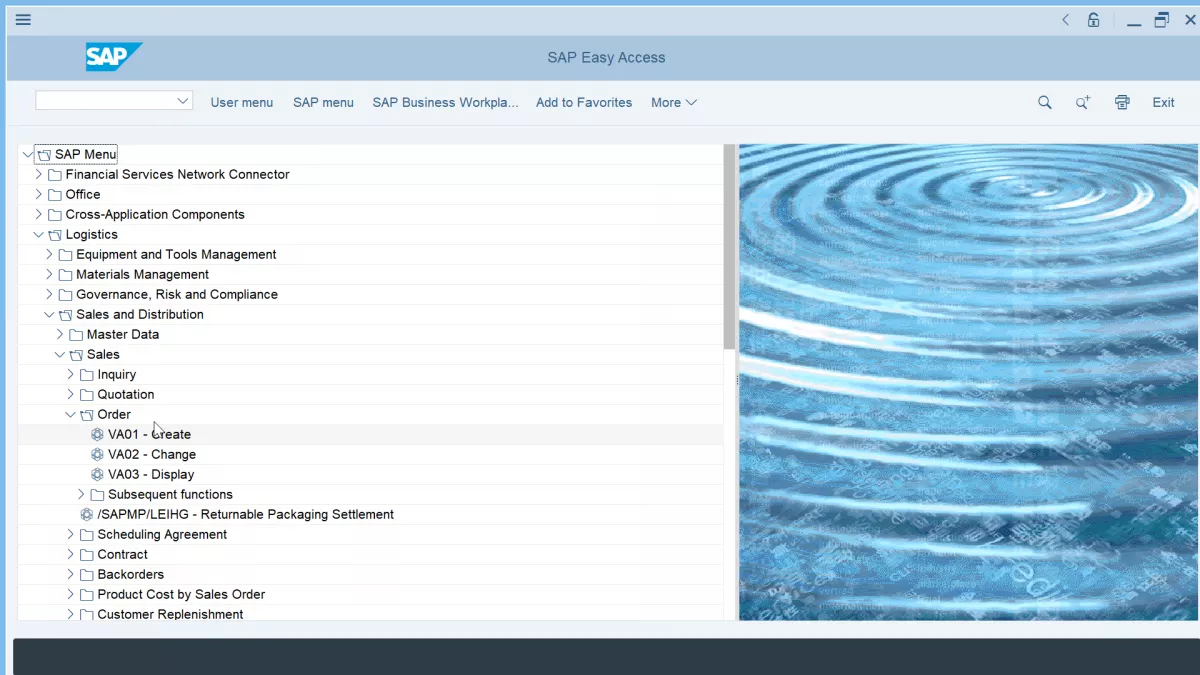 How To Use Sap Gui1