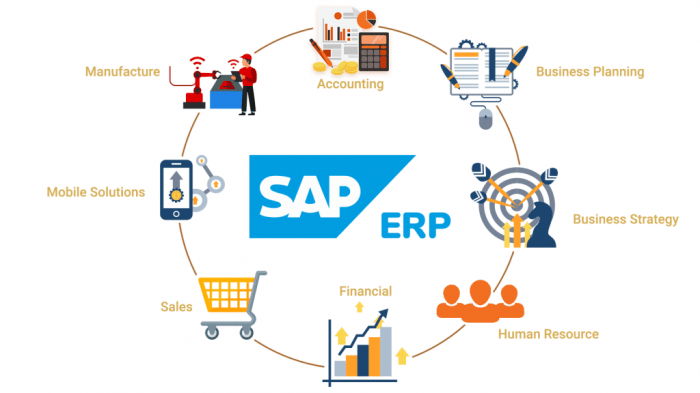 Công dụng của phần mềm kế toán SAP là gì?
