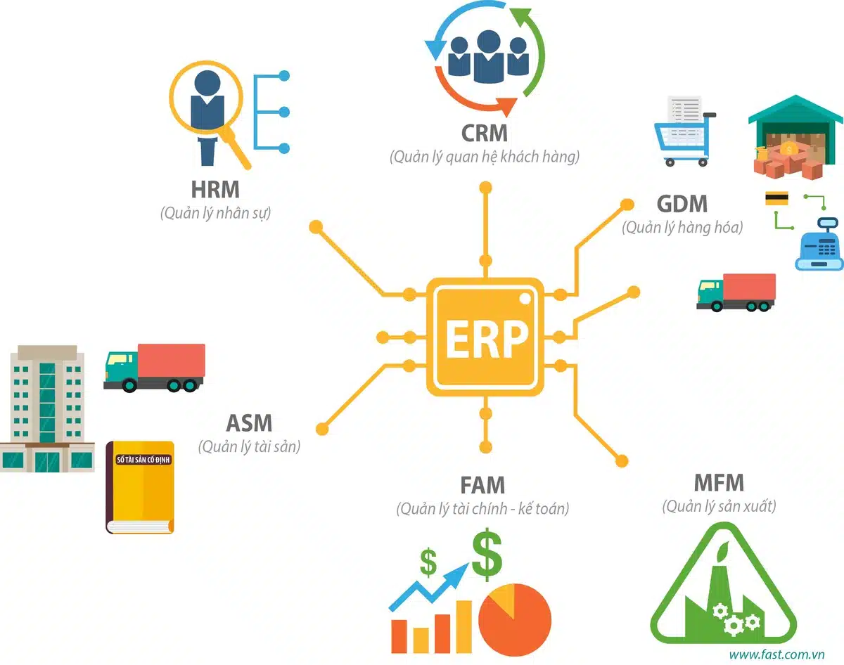 Phần Mềm Sap Là Gì