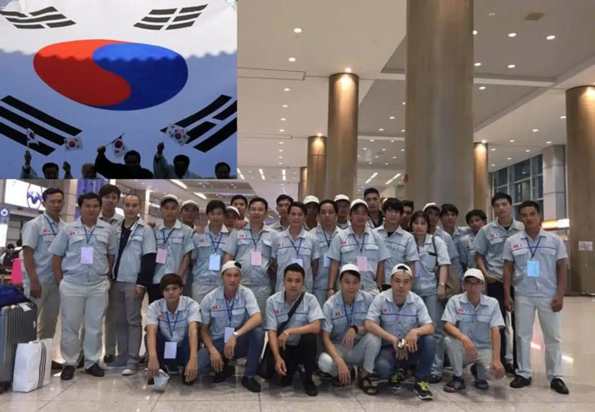 Các huyện bị cấm xuất khẩu Hàn Quốc 2022