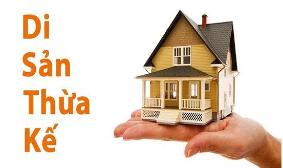 Con Chết Trước Cha Mẹ Có được Chia Tài Sản