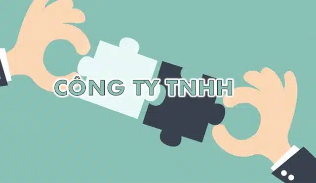 Cong Ty Tnhh 2 Thanh Vien