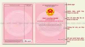 Giay Chung Nhan Quyen sở hữu chung cư