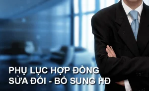 phu-luc-hop-dong-1