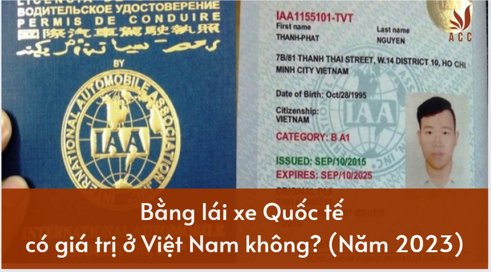 Bằng Lái Xe Quốc Tế Có Giá Trị Ở Việt Nam Không? (2023)