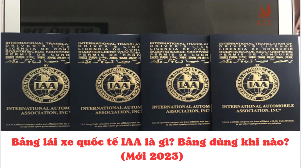 Bằng lái xe quốc tế IAA là gì? Bằng dùng khi nào? (Mới 2023)