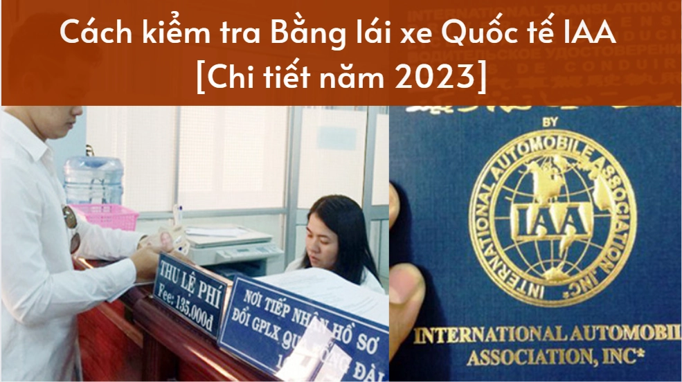 Cách kiểm tra Bằng lái xe Quốc tế IAA [Chi tiết năm 2023]