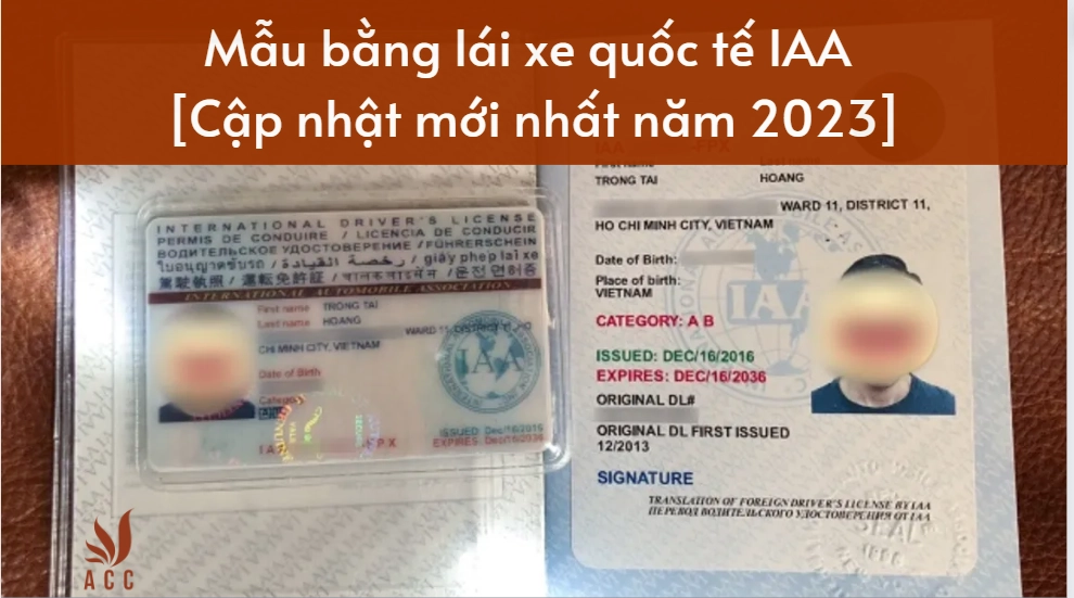 Mẫu bằng lái xe quốc tế IAA [Cập nhật mới nhất năm 2023]