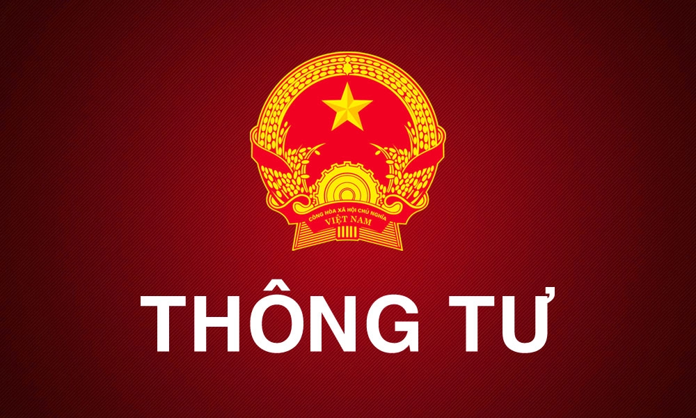 Phụ Lục Thông Tư 06 2011 Tt Byt