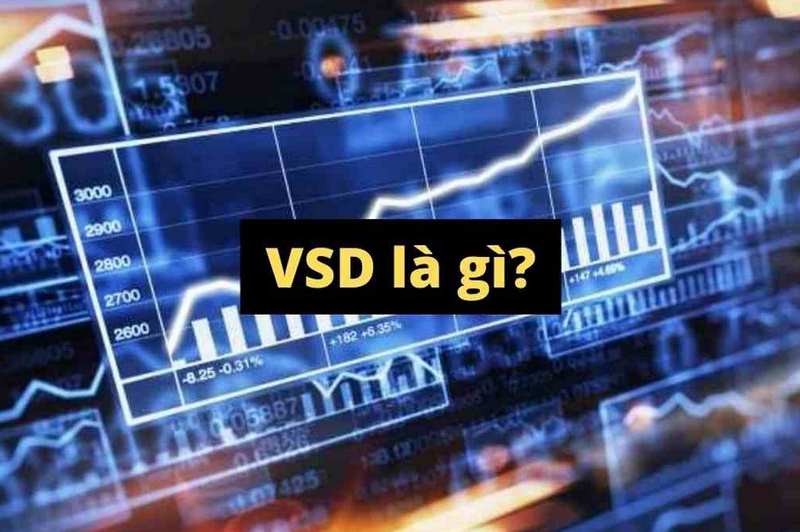 Làm thế nào để kiểm tra và xác nhận trạng thái VSD của tài khoản chứng khoán?
