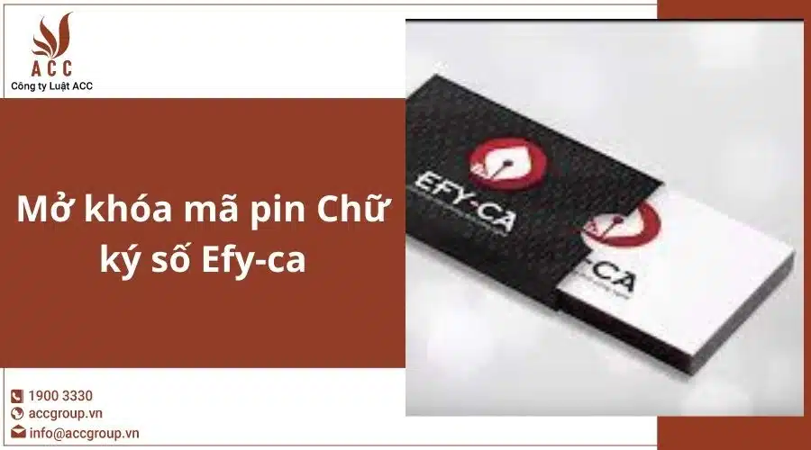 Mở Khóa Mã Pin Chữ Ký Số Efy Ca