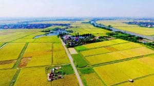 Quy định Tách Thửa đất Nông Nghiệp Tại Bình Thuận