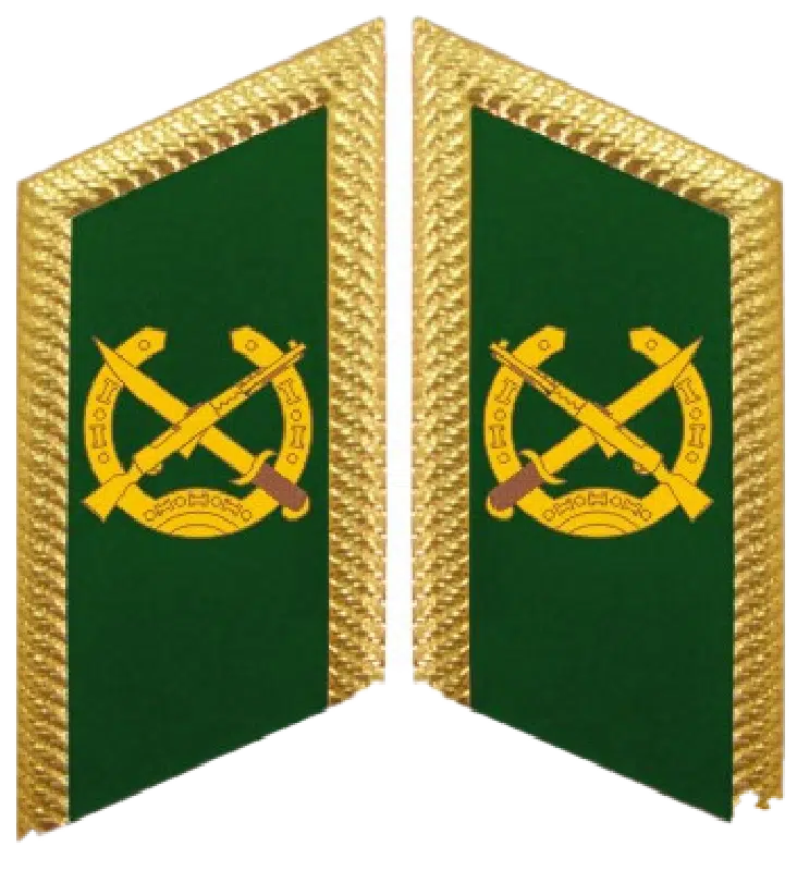 Vietnam Border Defense Force General Rank Lapel