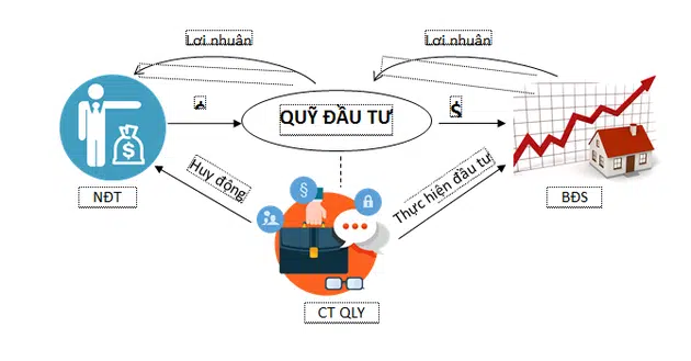 Khóa học đầu tư chứng khoán online  CLEVERCFO EDUCATION