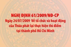Nghi Dinh 61 2009 Nd Cp