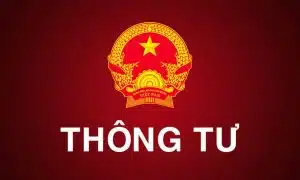 Văn Bản Dưới Thông Tư Gồm Những Gì