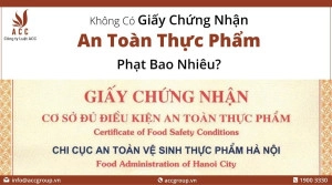 khong-co-giay-chung-nhạn-an-toan-thuc-pham-phạt-bao-nhieu