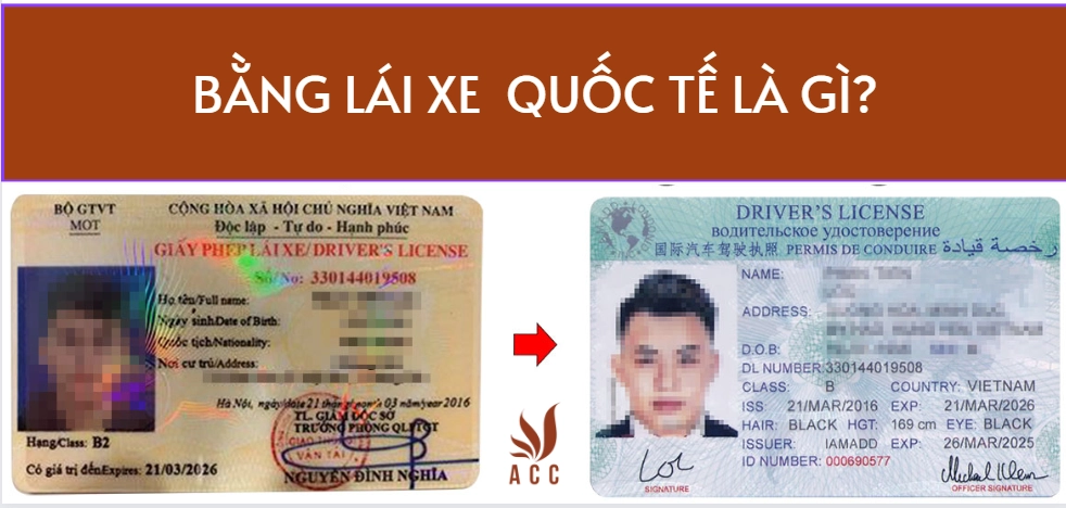 Bằng lái xe quốc tế tiếng trung là gì?
