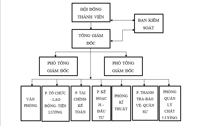 Sơ đồ cơ cấu tổ chức công ty tnhh 1 thành viên  Tân Thành Thịnh