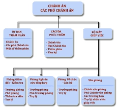 sơ đồ cơ cấu tổ chức tòa án nhân dân