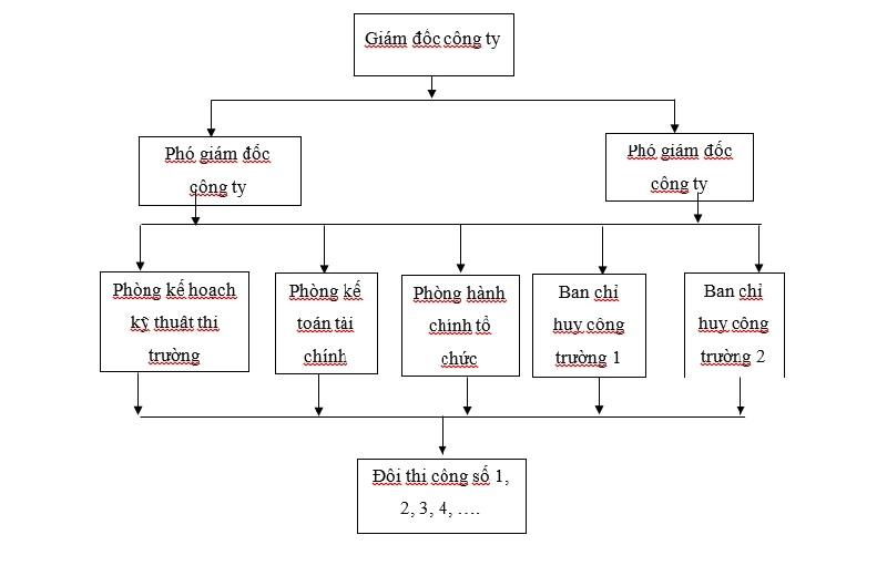 10 Mẫu sơ đồ tổ chức công ty và hướng dẫn cách xây dựng