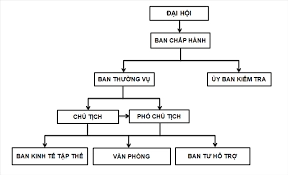 sơ đồ cơ cấu tổ chức hợp tác xã