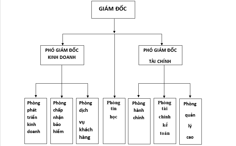 sơ đồ cơ cấu tổ chức quản lý