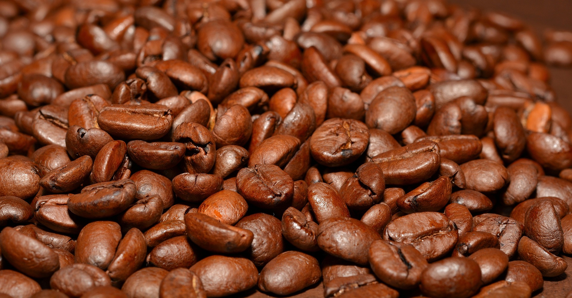 Cà phê nguyên chất có vị chua là vì sao?