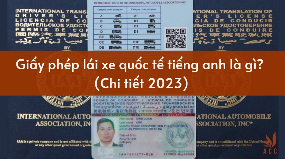 Giấy phép lái xe quốc tế tiếng anh là gì? (Chi tiết 2023)